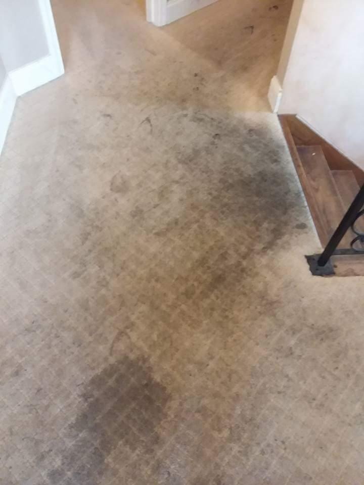 Carpet before professional cleaning — stained and dirty